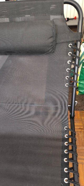 Tumbona Plegable Jardín/Terraza con Cojín