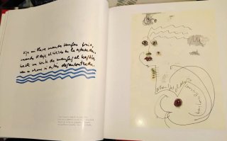 Libro - arte "Garagatos", de Sabina.+lámina regalo