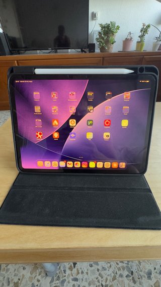 iPad Pro 11" M4 (256 GB) + Apple Pencil Pro +acces