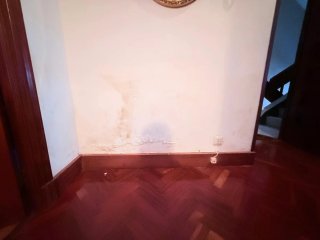 Servicio de pintura