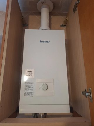 Calentador Estanco Gas Natural Neckar