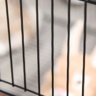 Gabbia Conigli e Piccoli Animali 22 Pannelli Nero
