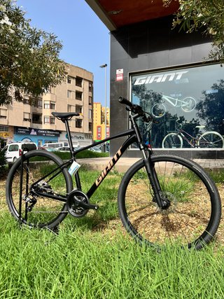 Giant Roam 4 T.M