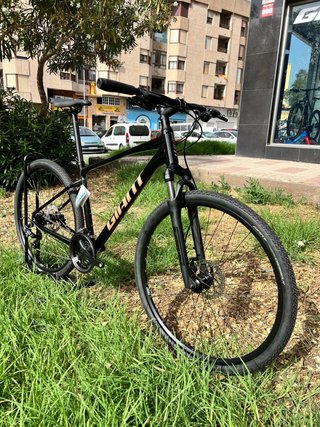 Giant Roam 4 T.M