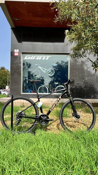Giant Roam 4 T.M