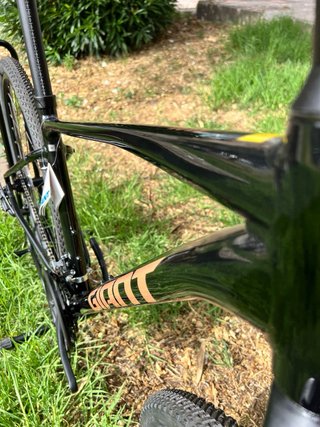Giant Roam 4 T.M