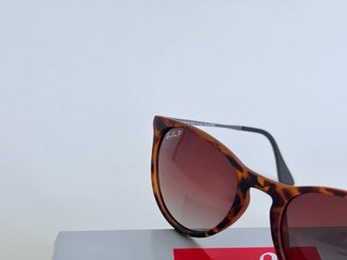 Gafas de sol Ray-Ban Erika Animal Print Polarizada