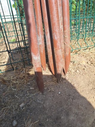 Tutores PVC para huerto