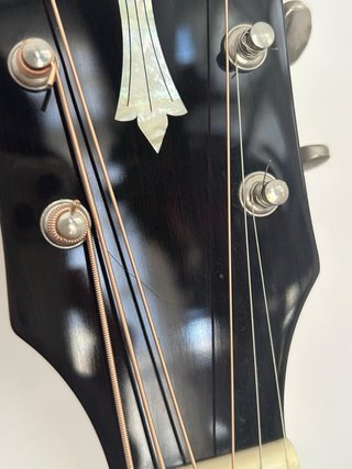 Guitarra Acústica Guild OM-120