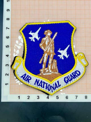 Patch Ricamata Air National Guard USAF Militare