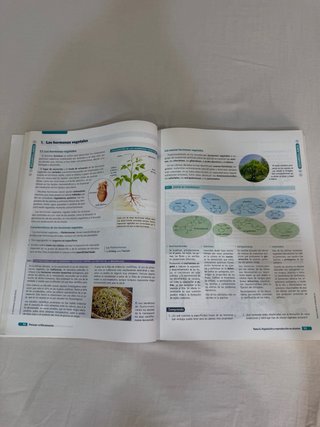 BIOLOGIA GEOLOGIA Y CIENCIAS AMBIENTALES 1º BACH