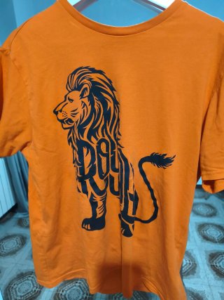 Camiseta Naranja León Hombre