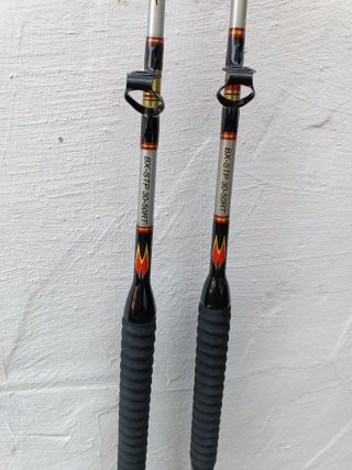 2 Cañas de Pescar