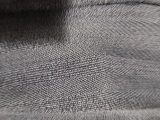 Pantaloni Uomo Taglia 52 Grigio