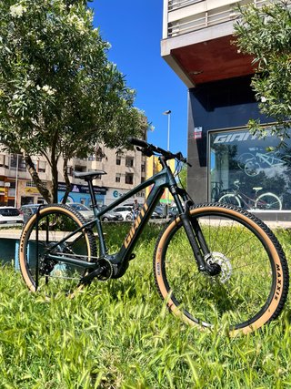 Nueva Giant Talon E+