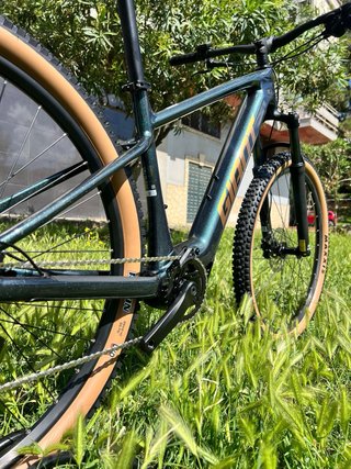 Nueva Giant Talon E+