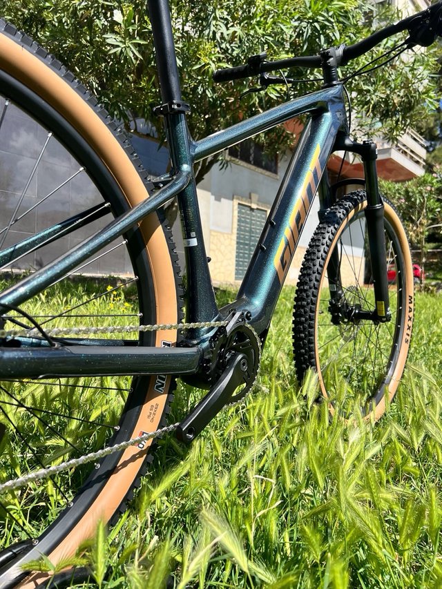 Nueva Giant Talon E+