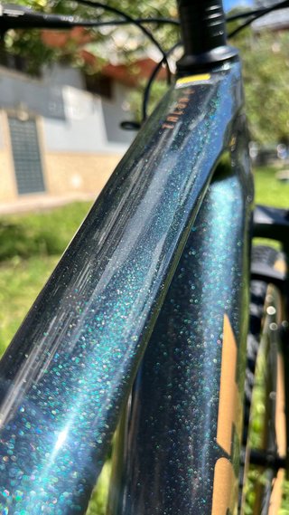 Nueva Giant Talon E+