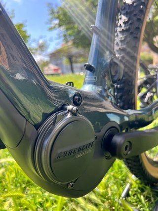Nueva Giant Talon E+