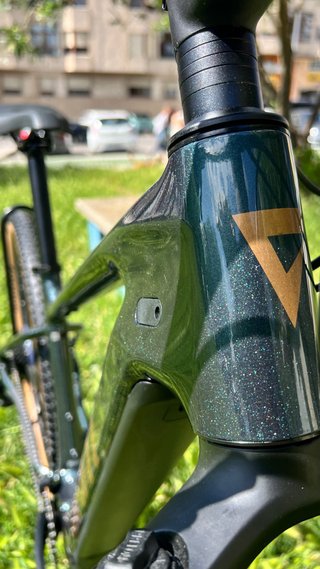 Nueva Giant Talon E+