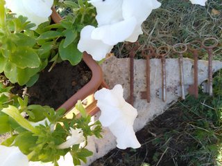 Lote de 6 llaves antiguas oxidadas