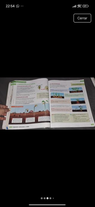 Ciencias de la naturaleza, 4 Educación Primaria