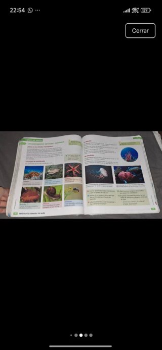 Ciencias de la naturaleza, 4 Educación Primaria