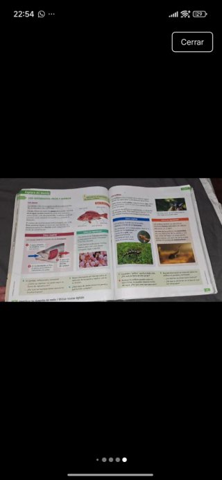 Ciencias de la naturaleza, 4 Educación Primaria