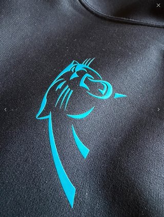 Chaqueta Nike Carolina Panthers
