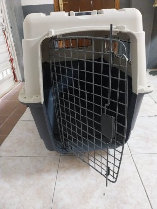 Transportín perro grande con ruedas