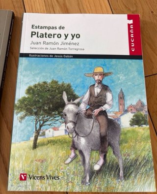 Libros lectura colegio san Jaume
