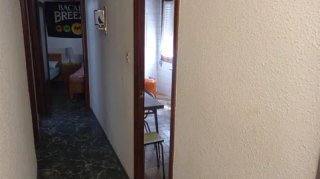 Alquiler para festivales y moros y cristianos