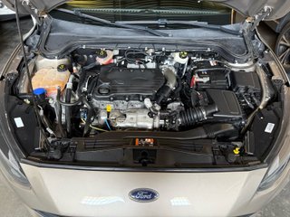 Ford Focus 1.5 Ecoblue 88kW ST-Line Auto
