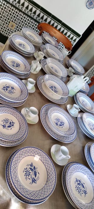 Lote Porcelana guadrafiglio Italia Azul y Blanco