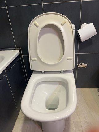 Inodoro Roca Blanco