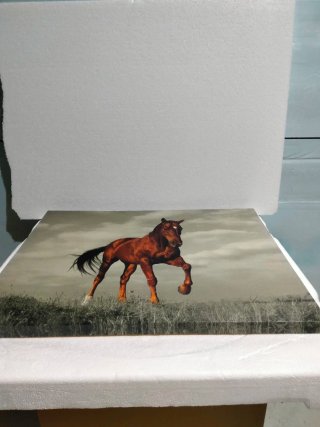 Cuadro de caballo
