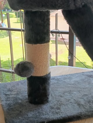 Árbol rascador para gatos
