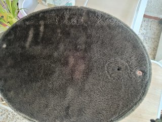 Árbol rascador para gatos