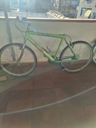 Bicicleta Verde