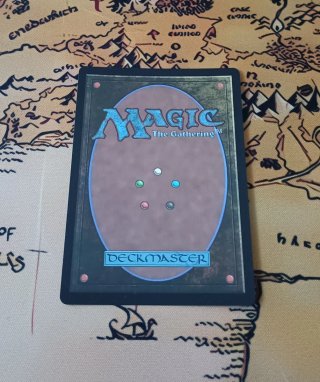 CARTA MAGIC FOIL - SALÓN ELEGANTE