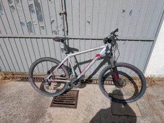 Bicicleta de Montaña Plata