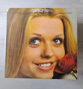Colección de 10 discos vinilos