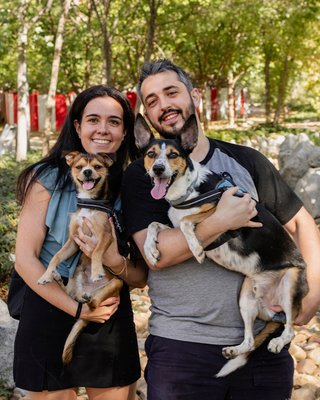 Fotografo Granada - Sesiones de fotos con Mascotas