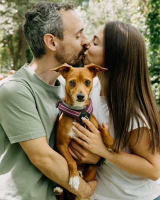 Fotografo Granada - Sesiones de fotos con Mascotas