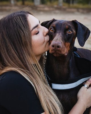 Fotografo Granada - Sesiones de fotos con Mascotas