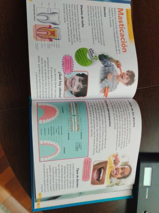 Enciclopedia infantil del Cuerpo Humano