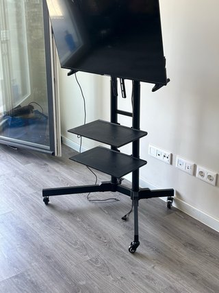 Soporte TV con ruedas (hasta 50kg)