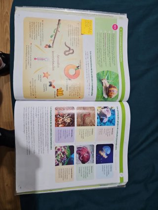 Biología y geología 1 eso santillana