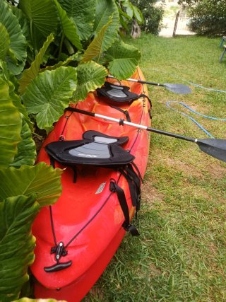 Kayak rtm