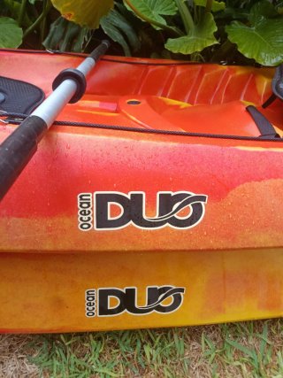 Kayak rtm